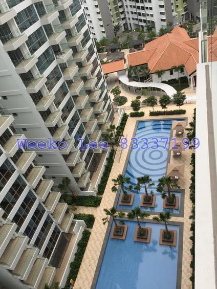 A Treasure Trove (D19), Condominium #145869182